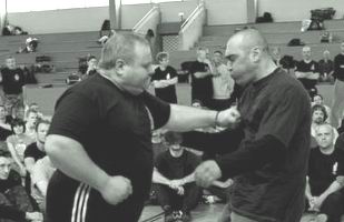 システマとはのイメージ